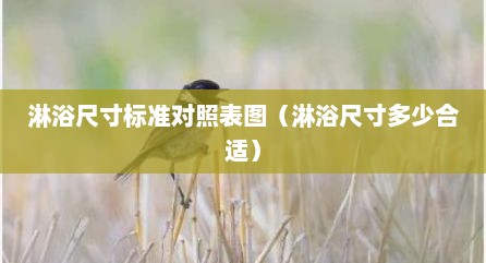 淋浴尺寸标准对照表图（淋浴尺寸多少合适）