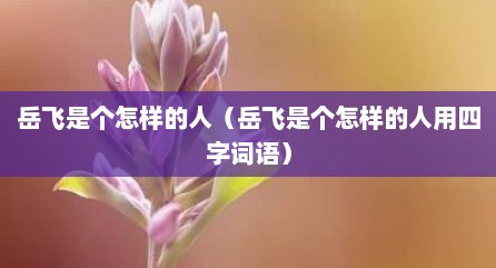 岳飞是个怎样的人（岳飞是个怎样的人用四字词语）