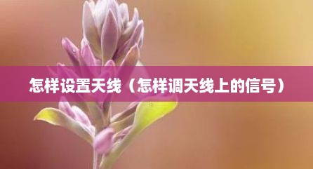 怎样设置天线（怎样调天线上的信号）