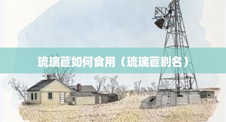 琉璃苣如何食用（琉璃苣别名）