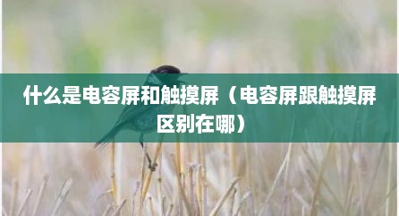 什么是电容屏和触摸屏（电容屏跟触摸屏区别在哪）