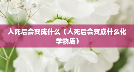 人死后会变成什么（人死后会变成什么化学物质）