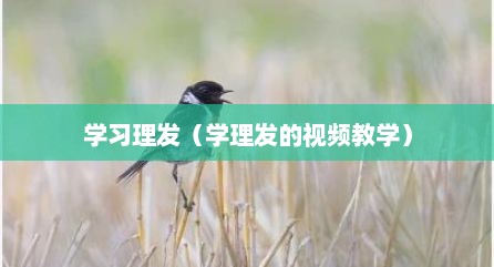 学习理发（学理发的视频教学）