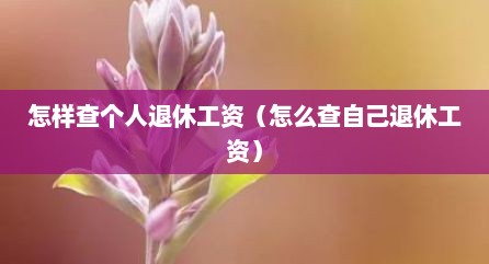 怎样查个人退休工资（怎么查自己退休工资）