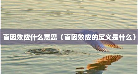 首因效应什么意思（首因效应的定义是什么）