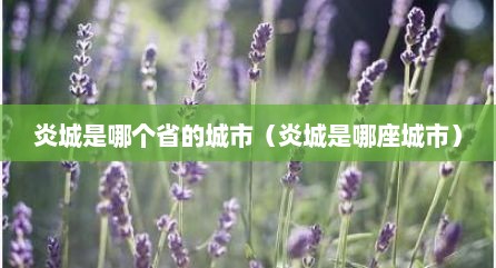 炎城是哪个省的城市（炎城是哪座城市）