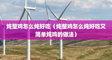 炖整鸡怎么炖好吃（炖整鸡怎么炖好吃又简单炖鸡的做法）