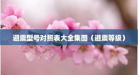 避震型号对照表大全集图（避震等级）