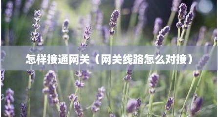 怎样接通网关（网关线路怎么对接）