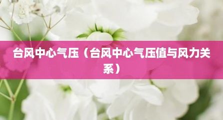 台风中心气压（台风中心气压值与风力关系）