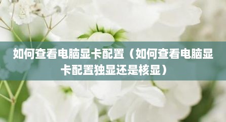 如何查看电脑显卡配置（如何查看电脑显卡配置独显还是核显）
