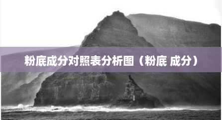 粉底成分对照表分析图（粉底 成分）
