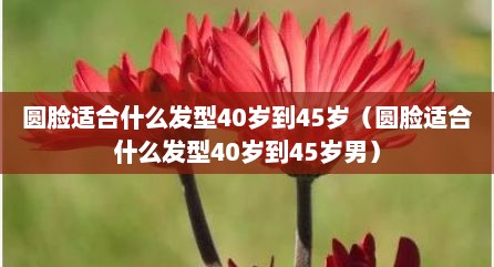 圆脸适合什么发型40岁到45岁（圆脸适合什么发型40岁到45岁男）