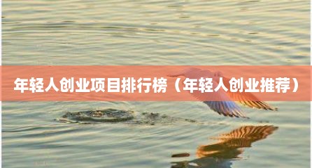 年轻人创业项目排行榜（年轻人创业推荐）