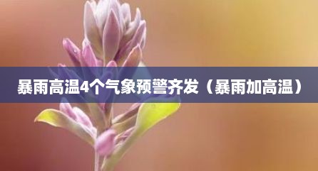 暴雨高温4个气象预警齐发（暴雨加高温）