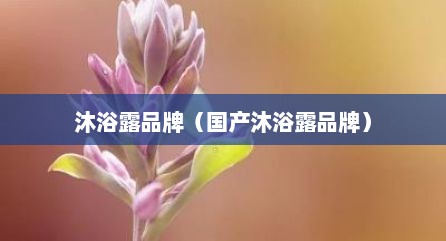沐浴露品牌（国产沐浴露品牌）