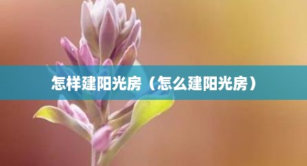怎样建阳光房（怎么建阳光房）