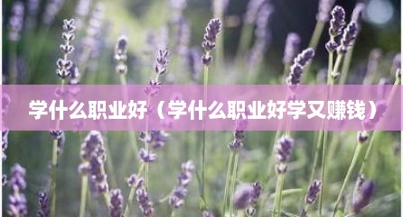 学什么职业好（学什么职业好学又赚钱）