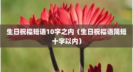 生日祝福短语10字之内（生日祝福语简短十字以内）