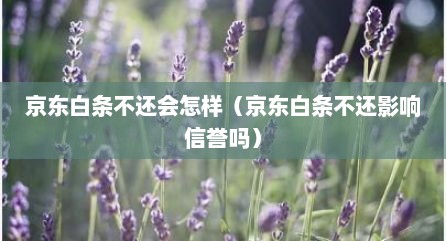 京东白条不还会怎样（京东白条不还影响信誉吗）