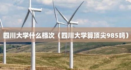 四川大学什么档次（四川大学算顶尖985吗）