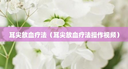 耳尖放血疗法（耳尖放血疗法操作视频）