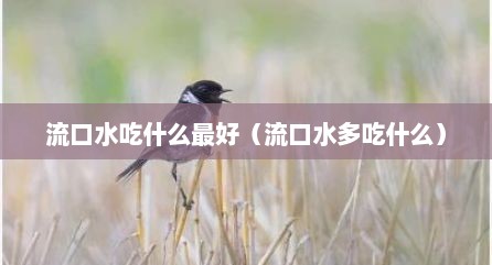 流口水吃什么最好（流口水多吃什么）
