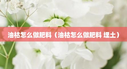 油枯怎么做肥料（油枯怎么做肥料 埋土）