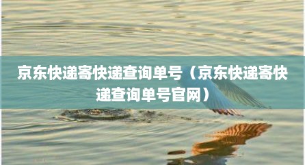 京东快递寄快递查询单号（京东快递寄快递查询单号官网）