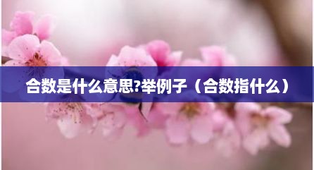 合数是什么意思?举例子（合数指什么）
