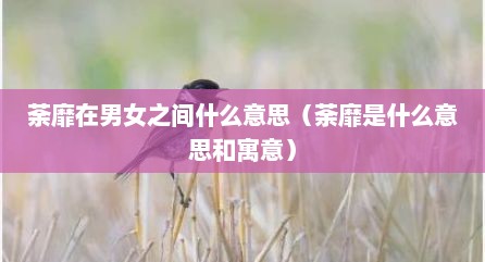 荼靡在男女之间什么意思（荼靡是什么意思和寓意）