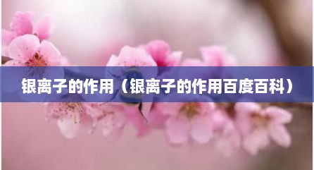银离子的作用（银离子的作用百度百科）