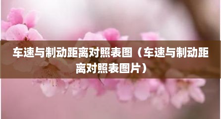 车速与制动距离对照表图（车速与制动距离对照表图片）