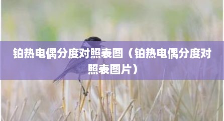 铂热电偶分度对照表图（铂热电偶分度对照表图片）