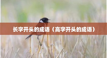长字开头的成语（高字开头的成语）