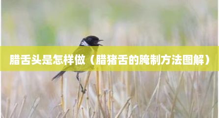 腊舌头是怎样做（腊猪舌的腌制方法图解）