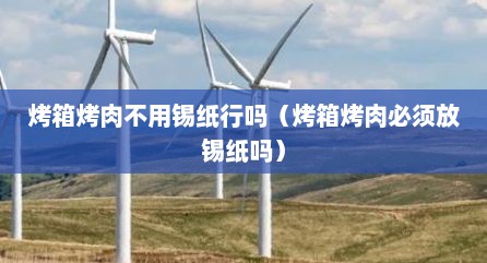 烤箱烤肉不用锡纸行吗（烤箱烤肉必须放锡纸吗）