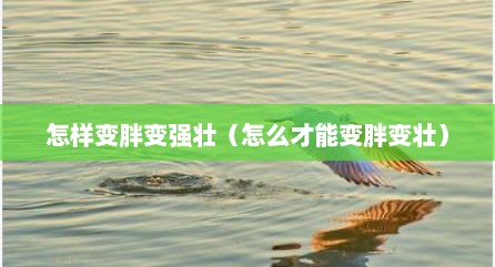 怎样变胖变强壮（怎么才能变胖变壮）