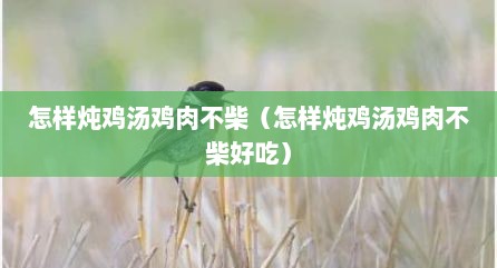 怎样炖鸡汤鸡肉不柴（怎样炖鸡汤鸡肉不柴好吃）