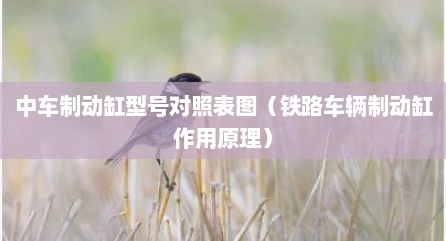 中车制动缸型号对照表图（铁路车辆制动缸作用原理）