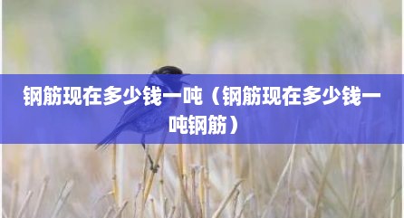 钢筋现在多少钱一吨（钢筋现在多少钱一吨钢筋）