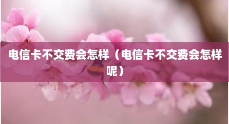 电信卡不交费会怎样（电信卡不交费会怎样呢）