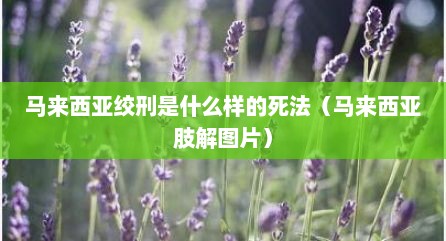 马来西亚绞刑是什么样的死法（马来西亚肢解图片）