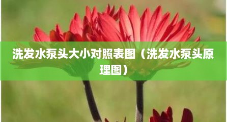 洗发水泵头大小对照表图（洗发水泵头原理图）