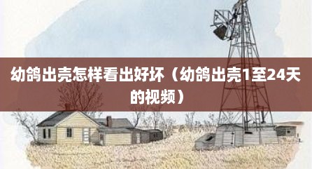 幼鸽出壳怎样看出好坏（幼鸽出壳1至24天的视频）