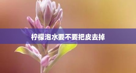 柠檬泡水要不要把皮去掉
