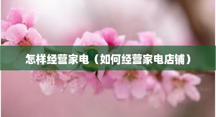 怎样经营家电（如何经营家电店铺）