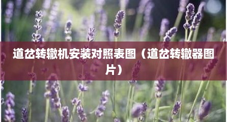 道岔转辙机安装对照表图（道岔转辙器图片）