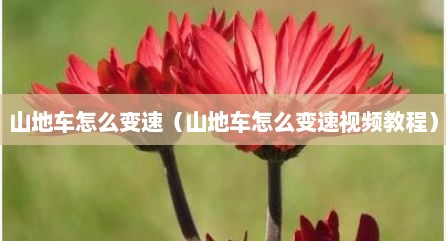 山地车怎么变速（山地车怎么变速视频教程）