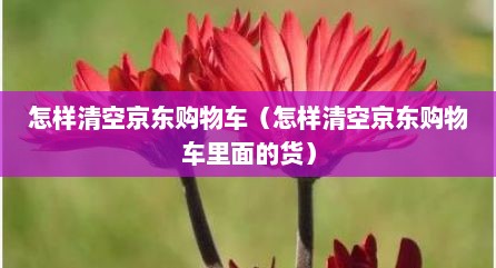 怎样清空京东购物车（怎样清空京东购物车里面的货）